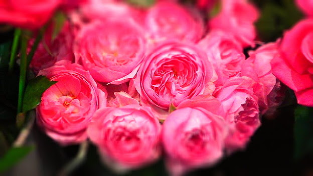 花びら多いタイプの花 これ 写真共有サイト フォト蔵