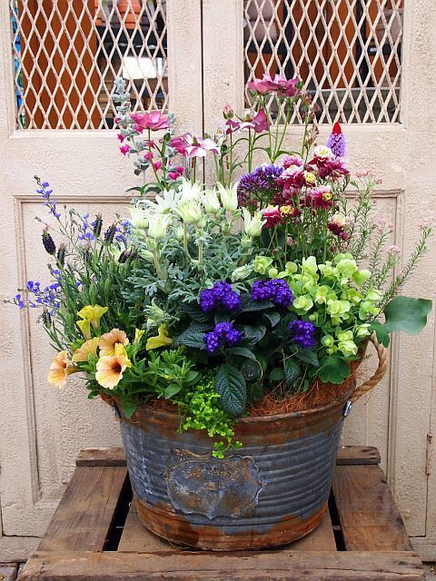 おしゃれで優しい春の寄せ植えのプレゼント 沼ノ上農園の花日記