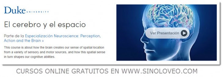 El cerebro y el espacio