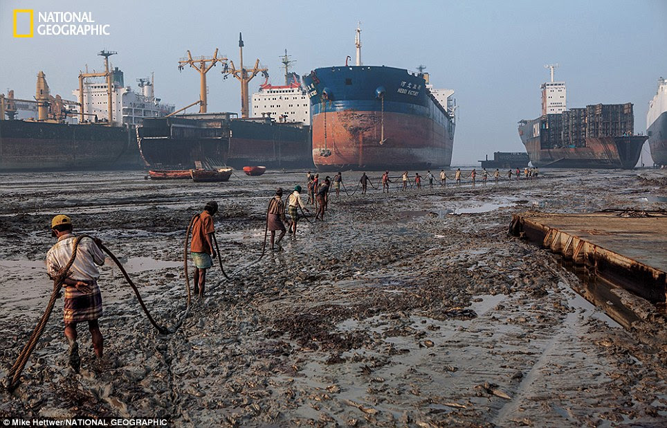 Arduous: At low tide ship-breakers haul a 10,000-pound cable to a beached ship to winch pieces ashore as they dismantle it