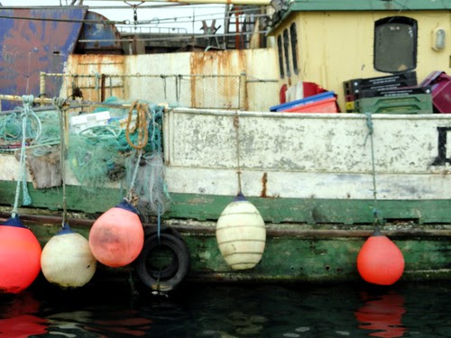 Boat in Dingle Bay