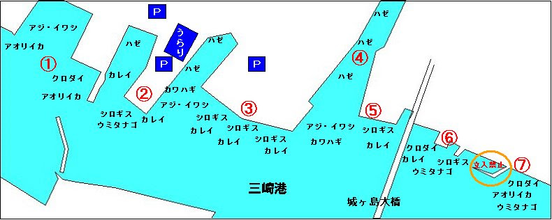 主な釣り場所