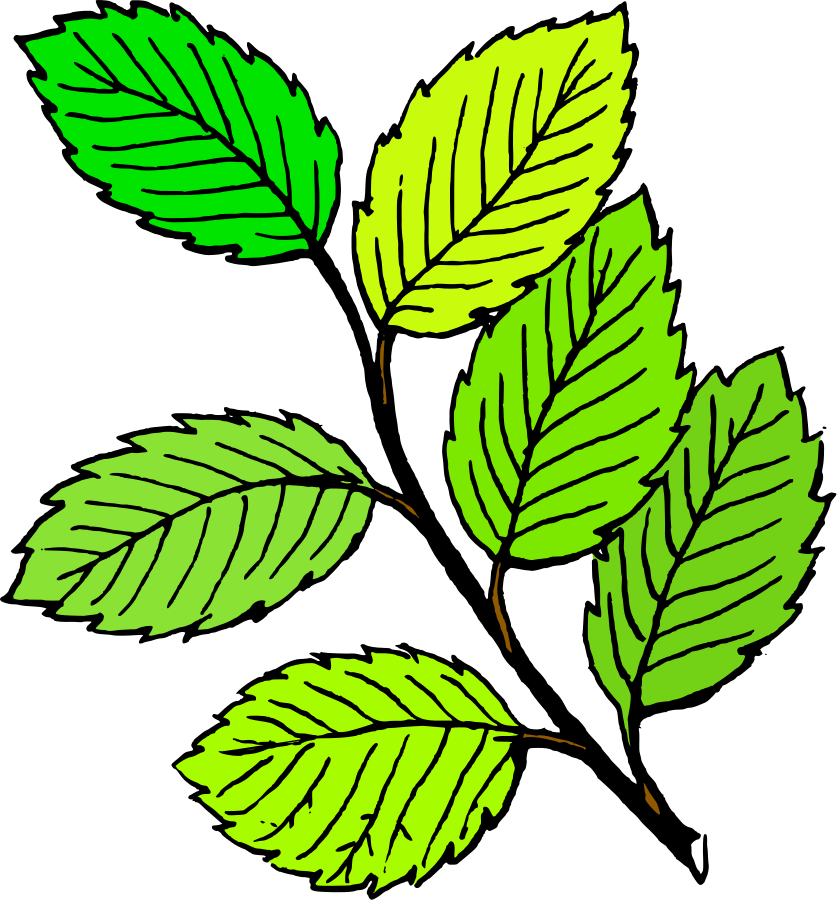 Download Leaves Clipart Black And White Clip Art Library