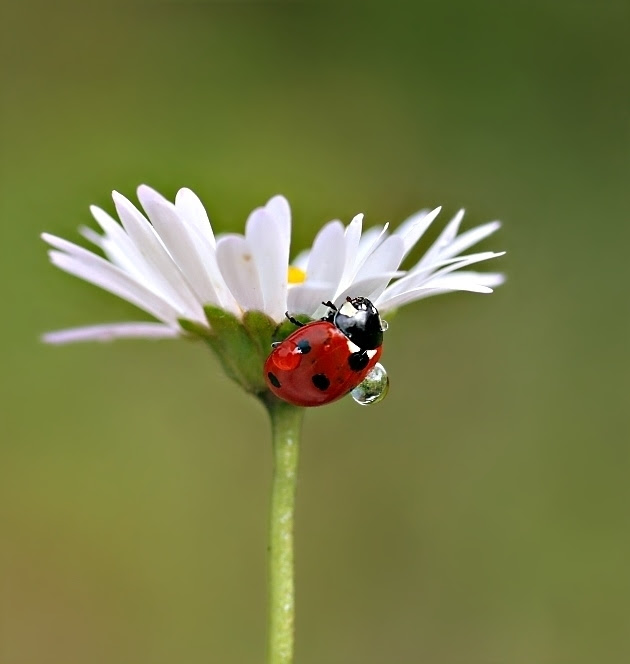 nature photography, view community,