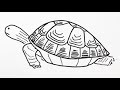 【印刷可能】 亀 イラスト 簡単 手書き 122488