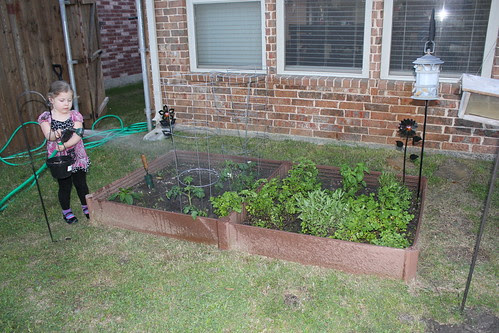 Our Family Garden 