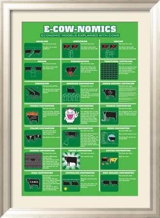 E-cow-nomics Framed Poster Print, 33x45 