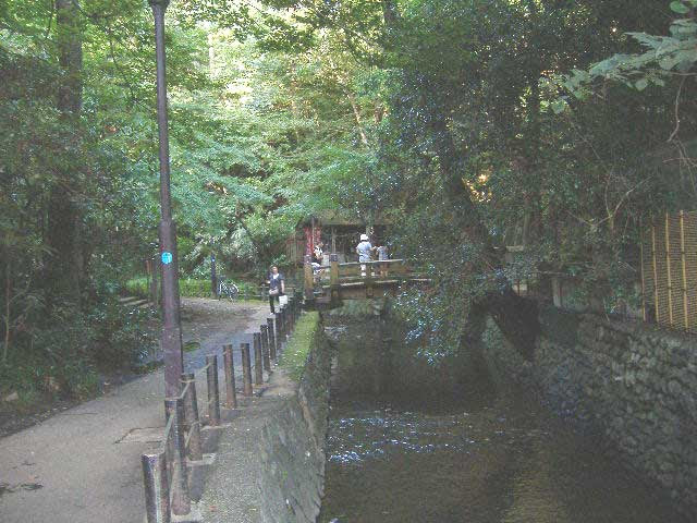 等々力 渓谷 自転車