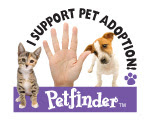 Pet Adoption