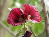 dscf0245