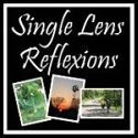 Single Lens Reflexions