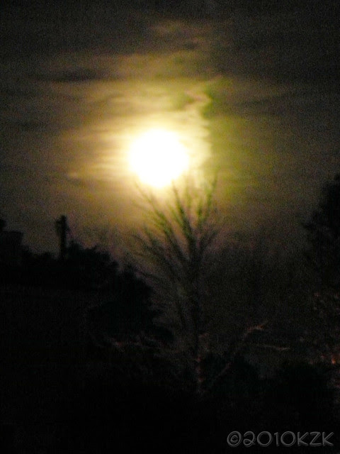 DSCN7011 23 OCT 10 moon