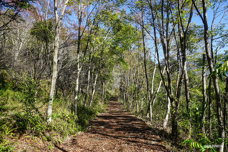 DSC02059