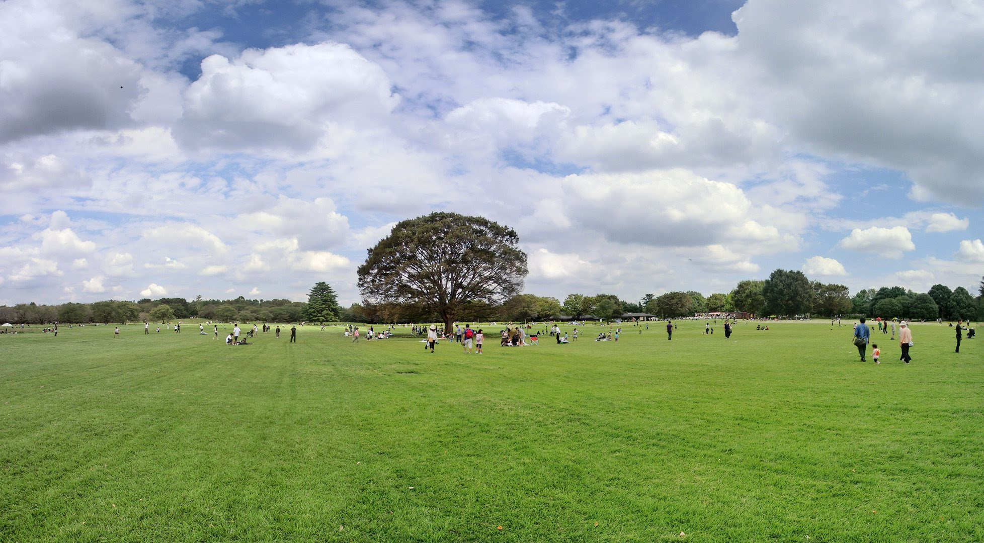 こどもファミリーで遊べる巨大公園 国営立川昭和記念公園 関東東京立川 子供と遊ぶ遊び場マップb