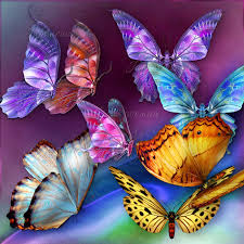 images