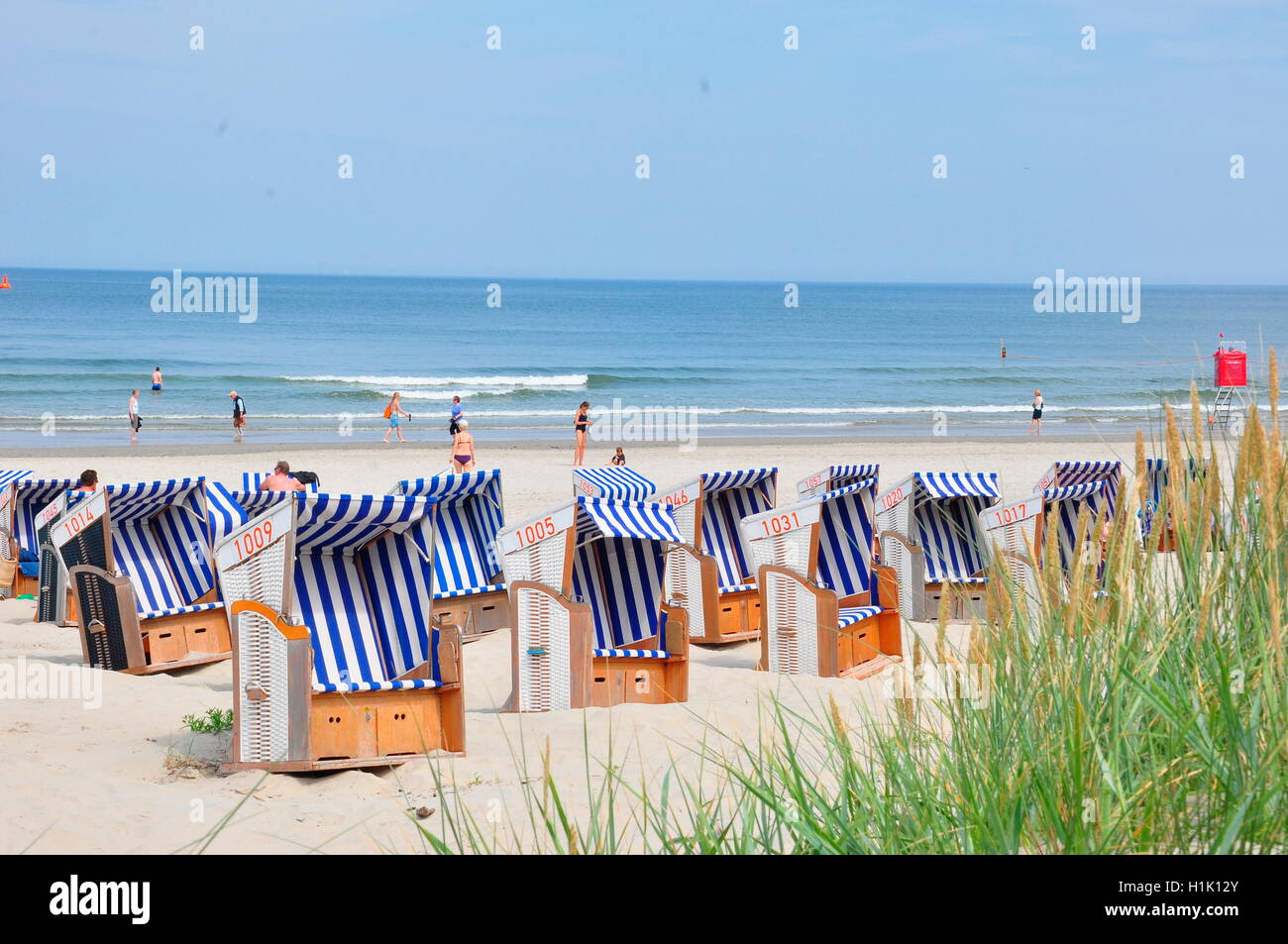 Single urlaub deutschland nordsee