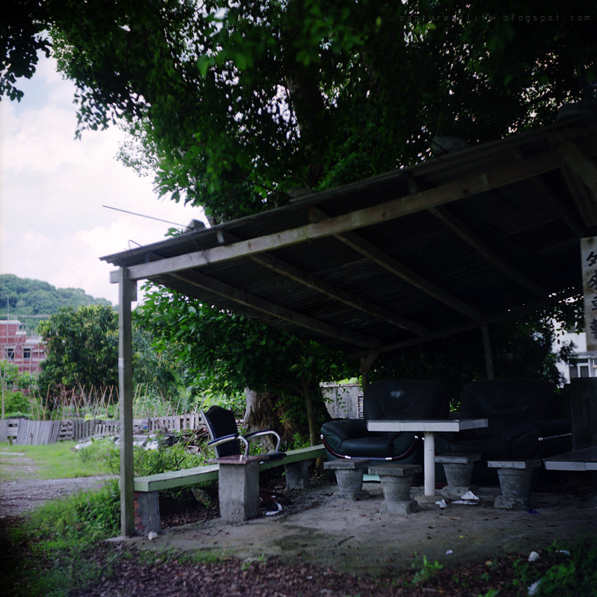 snaps with expired film