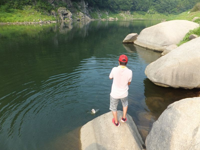 高山ダムのオカッパリ好調 ｇｅｔｎｅｔ ｂｌｏｇ ｎｅｗｓ