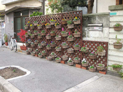 壁が花壇 なんぎな日記