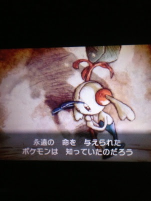 タンブルウィード ポケモンｘｙ冒険記 ｐａｒｔ５