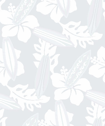 07 ハイビスカス サーフボードの壁紙 元画像 無料素材 壁紙tank