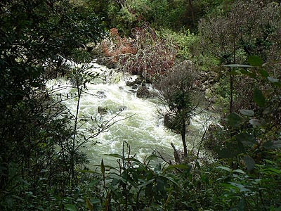 rivière Chiapas.jpg