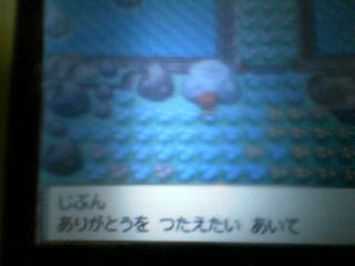 ダイヤモンド パール シェイミ 入手方法 ポケモンメモブログ