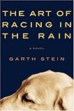 The Art of Racing in the Rain