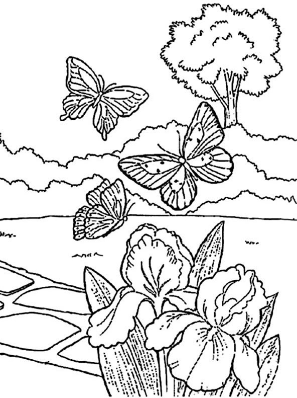 Fruhling 3 Ausmalen