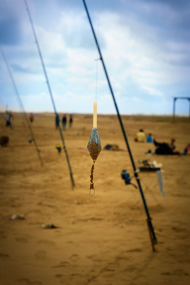 Fishing Lead, Delta d'Ebre, Tarragona, Catalonia, Spain [enlarge]