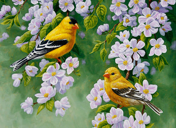 15+ Beautiful Bird Paintings | | FreeCreatives
