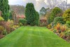 Garden on Christmas Day 2014