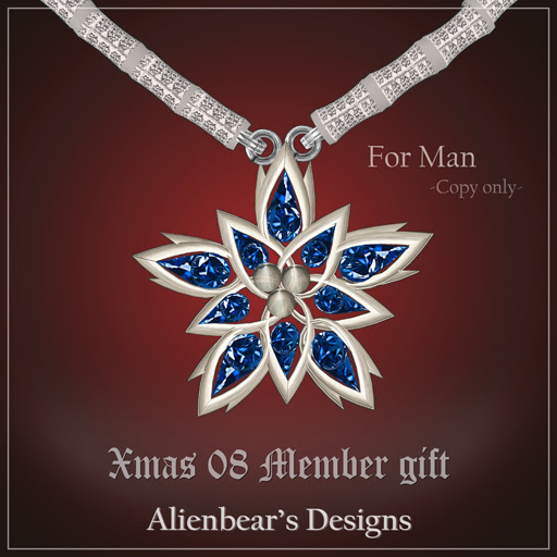 Xmas08 man member gift