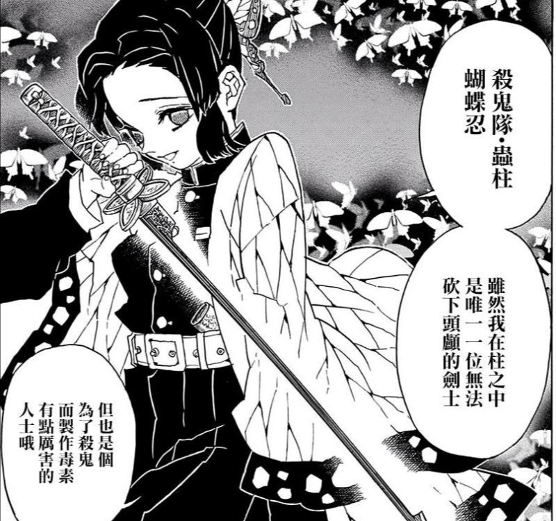 珠世和蝴蝶忍 万图壁纸网
