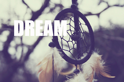 Dream, dreamcatcher, free, photography  image 733458 on Favim.com