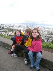 Three Monkeys Atop Twin Peaks