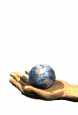Click for next Quotes