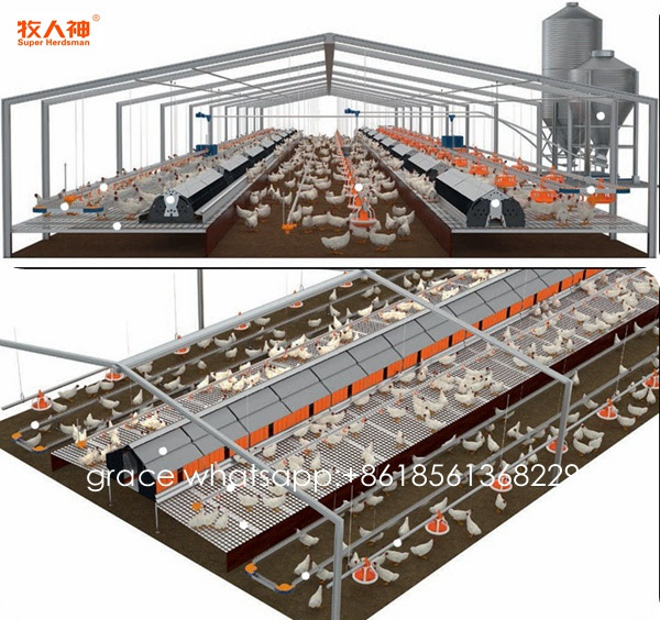 China Automatic Poultry Equipment for Breeder Shed with ...