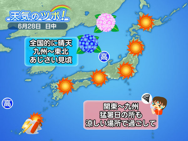 フライトお天気
