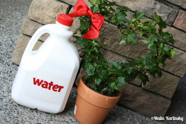 UpCycled Watering Jug - YoT #milkjug #wateringcan #organizing #freeorganizing #frugalorganizing #yesterdayontuesday