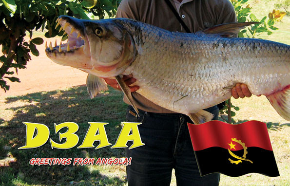 QSL image for D3AA