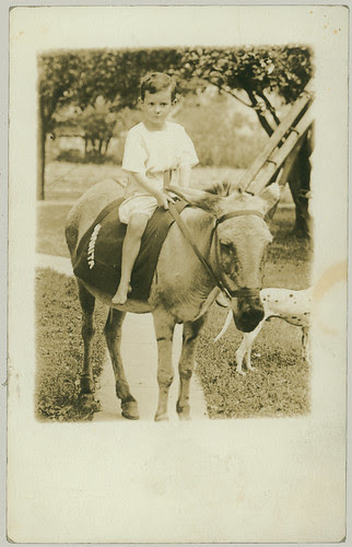 Girl on a horse