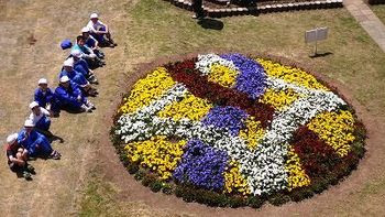 満開 学校花壇 ほっとスタッフブログながの