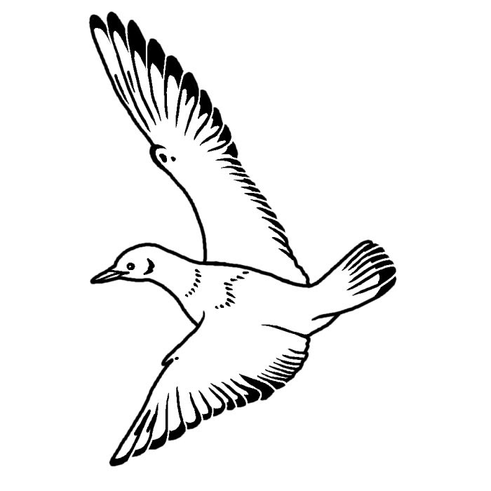 ユリカモメ 百合鴎 白黒 東京都の鳥 都道府県の木 花 鳥イラスト素材