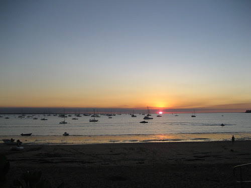 Darwin fleet at anchor