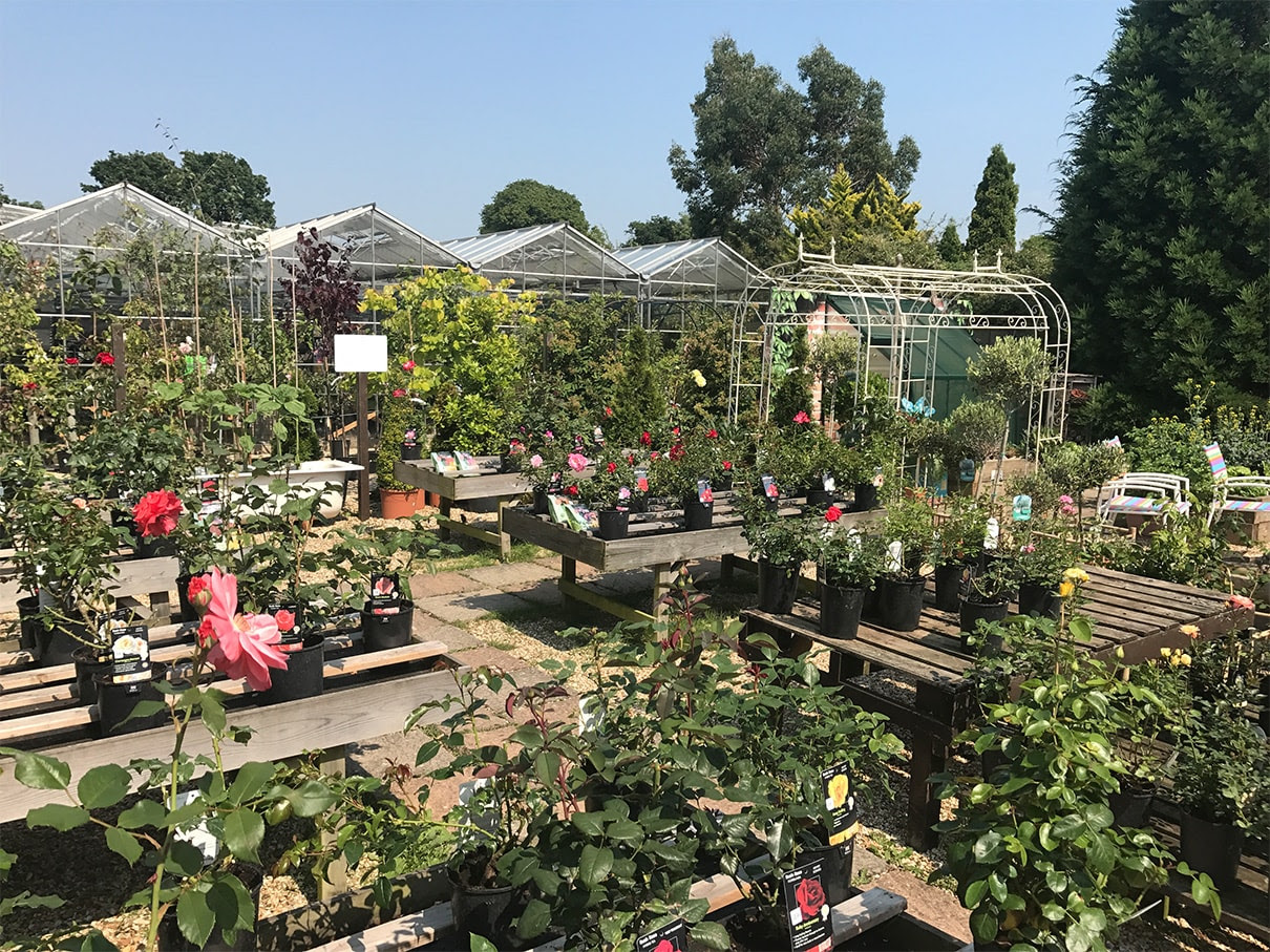 6-min - Redcliffe Garden Centre | Local Garden Centre in ...