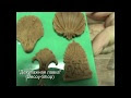 Пульпа (паста) древесная: применение, изготовление своими руками