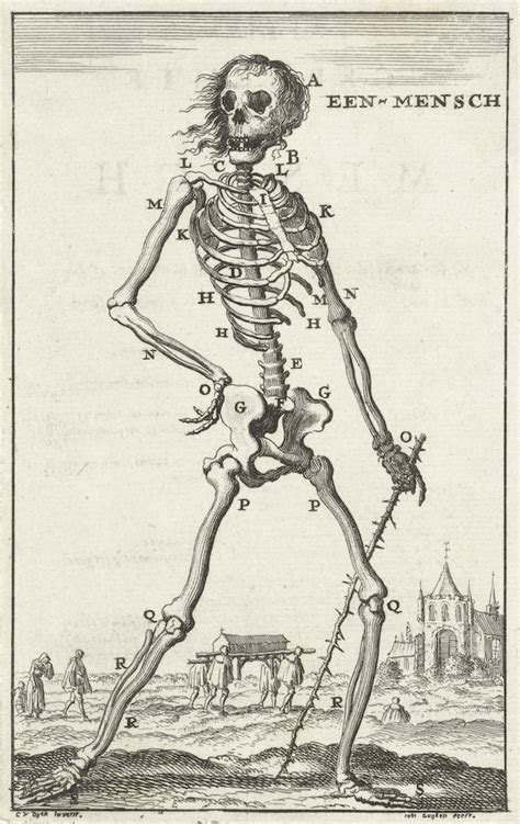 skeleton   human  heroic product  public domain review