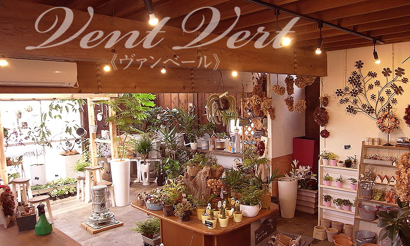 Vent Vert ヴァン ベール 東京 神奈川の観葉植物レンタル 花壇 生花 多肉植物販売