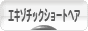 にほんブログ村 猫ブログ エキゾチックショートヘアへ
